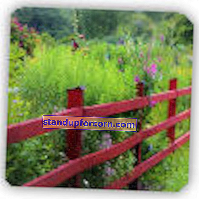 Φτηνές περίφραξη.  3 αποδεδειγμένες ιδέες για έναν φτηνό φράχτη στον κήπο!