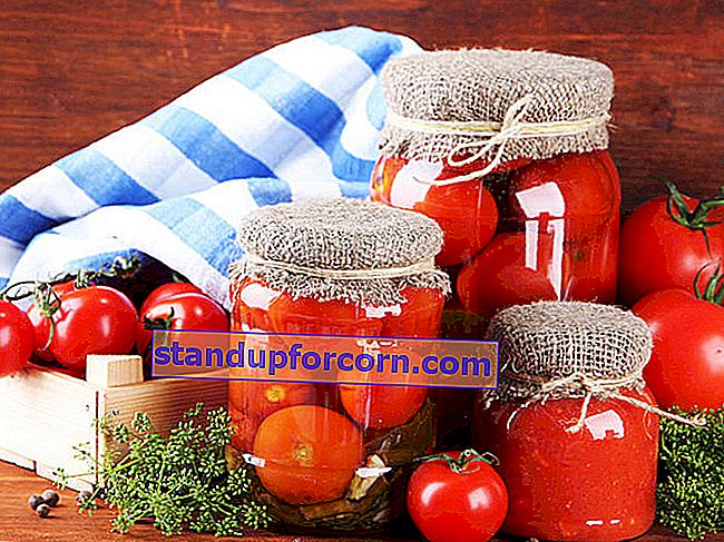 paradajkové konzervy na zimu