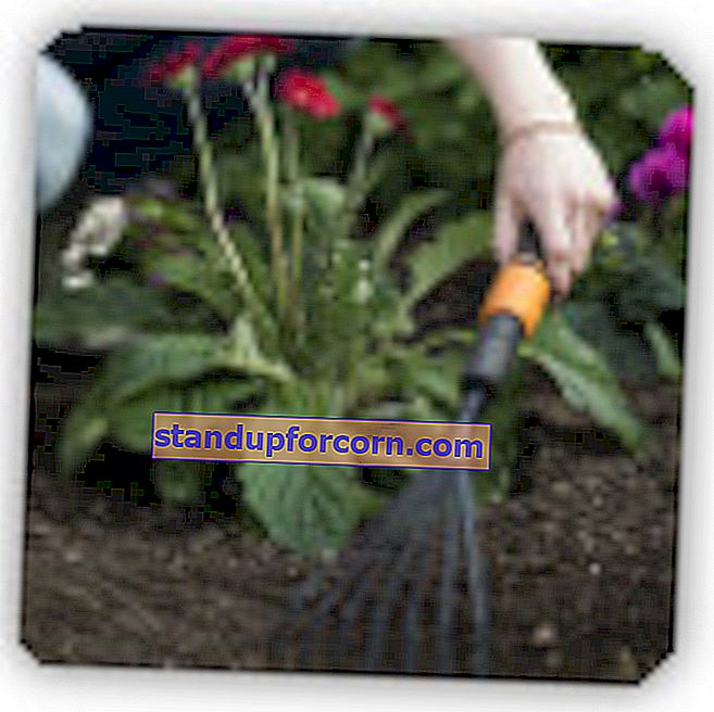 Mini hageverktøy - for å plante, fjerne ugress og løsne jorden