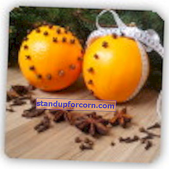 קישוטי חג המולד של תפוזים וציפורן