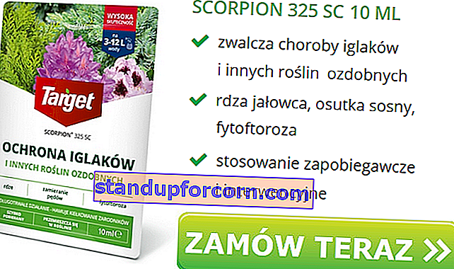 „Scorpion 325 SC“