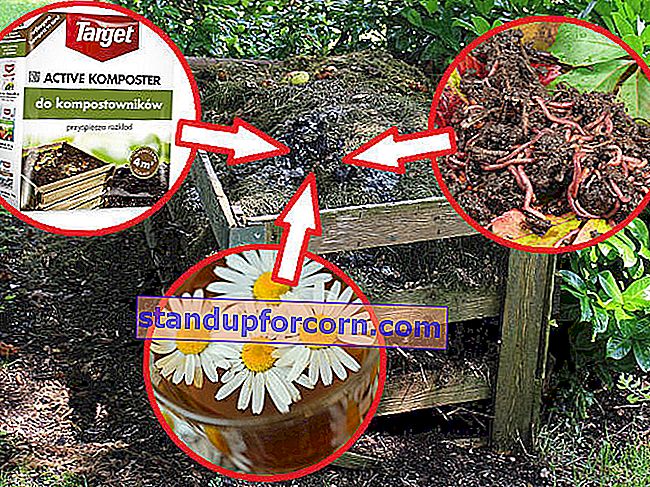 Kompostlama nasıl hızlandırılır