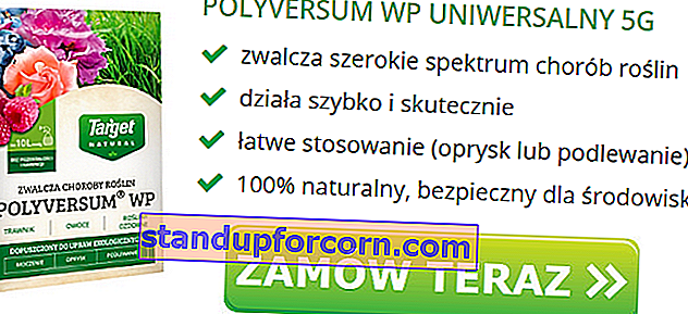 polyversum wp