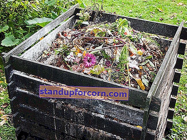 komposts